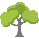 Boise Tree Removal Service