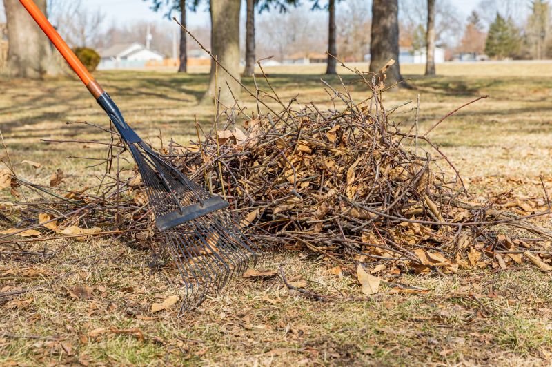 Leaf Removal at Property Edge