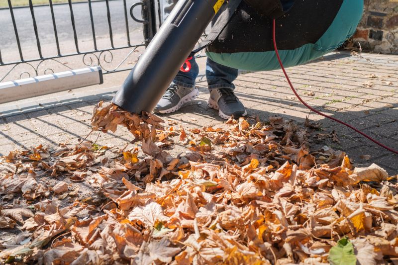 Leaf Blowing Across Lawn